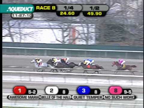 No Such Word - The Gazelle (G1)