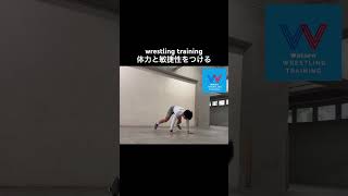 【挑戦してみて】レスリング選手の高速パーピー