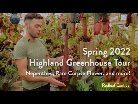 NEPENTHES and More! Spring 2022 Highland Greenhouse Tour
