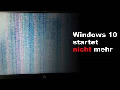 Windows 10 startet nach Update nicht mehr - Bildschirm flackert am HP 255 G6 Notebook