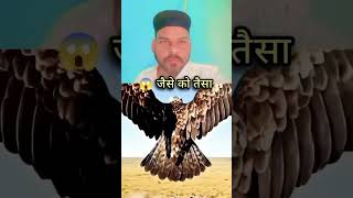 Download lagu #liriklagu mp3