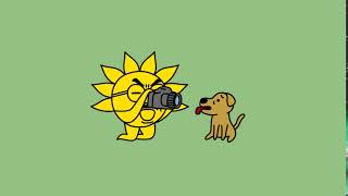 カメラマン 5秒