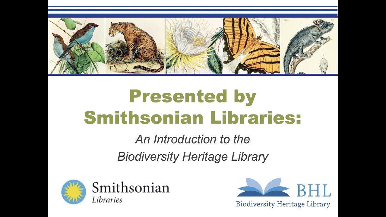 Presented by Smithsonian Libraries: Introduction to the Biodiversity Heritage Library (June 2020)