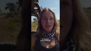 A day in the life of a wildlife filmmaker 💁‍♀️ 🎥 #BigCats247 #Lions #Cheetahs #Leopards #Shorts