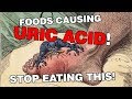 STOP EATING THIS: 10 URIC ACID (GOUT) CAUSING FOODS! (HYPERURICEMIA)