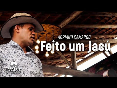 Adriano Camargo I Feito um Jacú [Clipe Oficial]