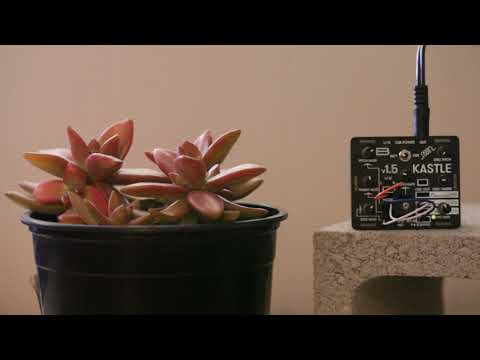 Ambient Patch - August 3, 2020 - Bastl Instruments Kastle v1.5