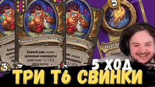 SHUVA1ORD на 5 ход выполнил квест и собрал ЗОЛОТУЮ Т6 СВИНКУ!