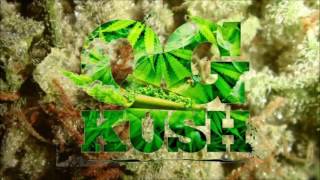 Ward 21 - OG Kush  (EP 2016 "Power Surge" By Germaica Digital)
