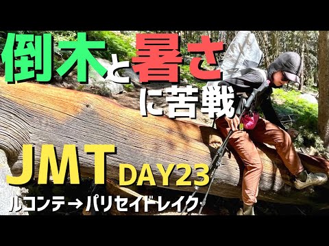 Nuvola アプリの教育言語.svg