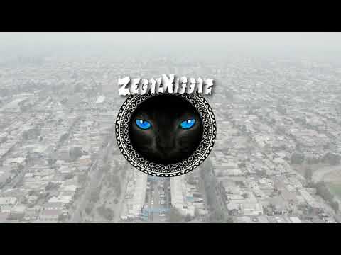 ZegaL NiggaZ & Deejaykali  - Es la Musica que Viaja (Vídeo Clip ) P.A.C.