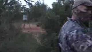 preview picture of video 'Filmed hog hunt in South Texas'