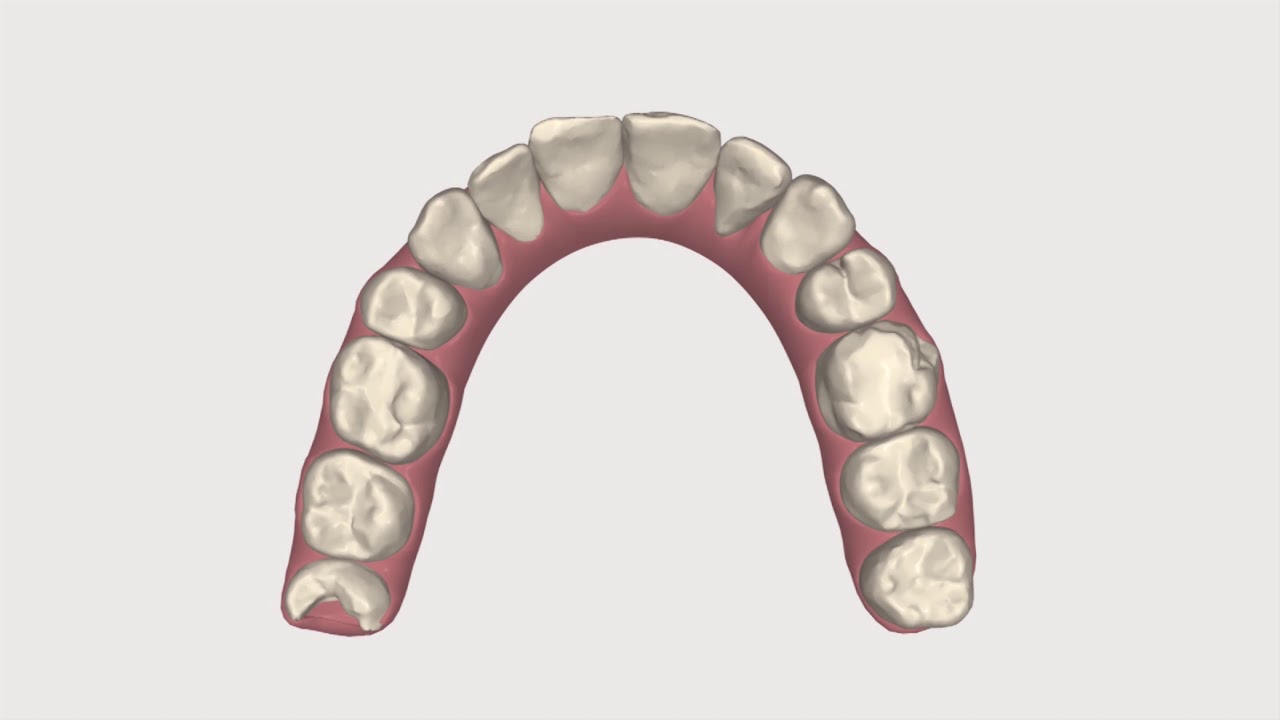 Vicente Gandía Aguiló-15