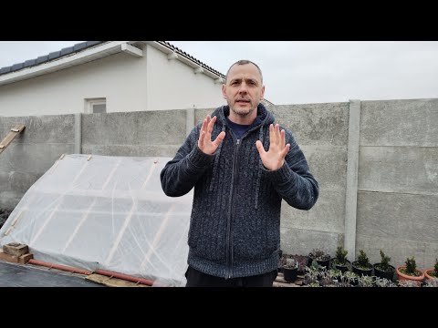 冬にラベンダーや他の植物を守る方法