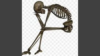 Cover art for im not alex g, and ur not sarah