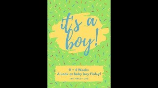 Pregnancy Update - What's Been Happening?