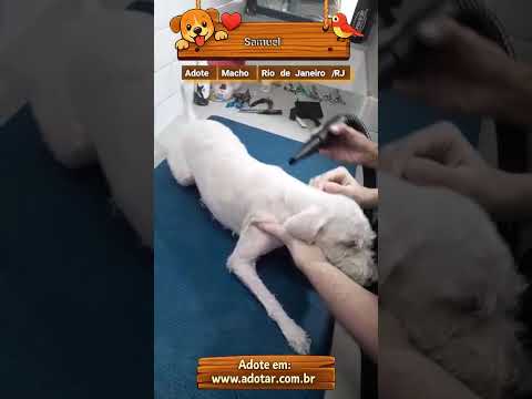 Vídeo de Samuel