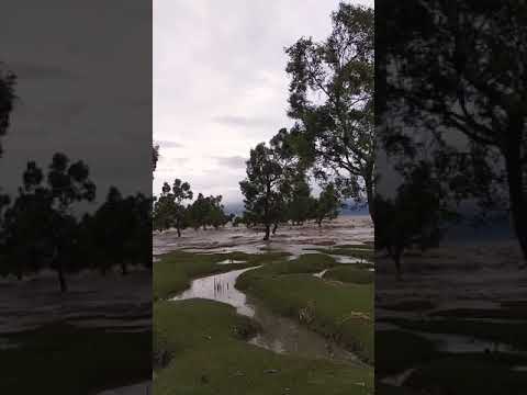 goliakhali sea beach,  shitakundo