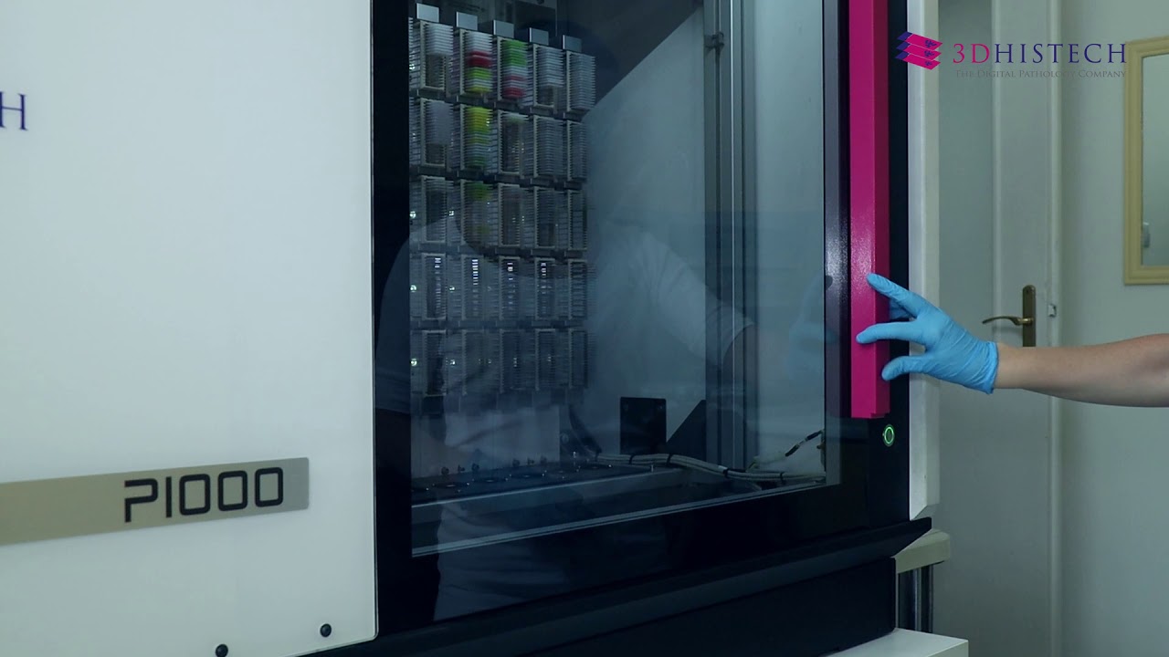 3DHISTECH - Digital Pathology Solutions for Routine Pathology