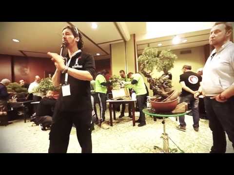 13 BONSAI BLU MILANO - XXI Congresso Nazionale Ubi 2017 - Jesi 10/11/12 Marzo