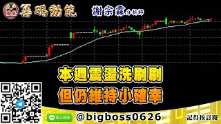 【大戶羅盤籌碼動能】 #謝宗霖1225，本週震盪洗刷刷 但仍維持小確幸 (圖)