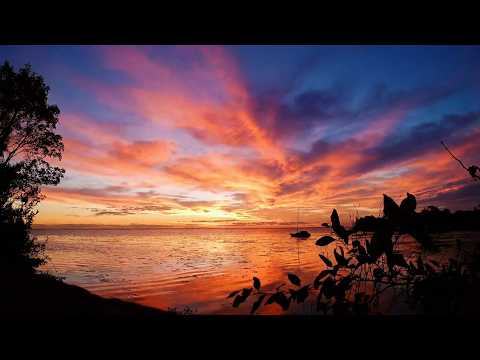 Corrientes Natural: Un momento único en la Laguna Iberá - Carlos Pellegrini mayo 2026