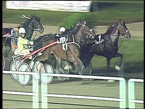 Trotto 18/10/2016 - 7ª corsa