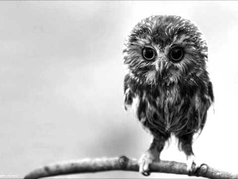 Yuri Kane - Right Back (Lighthouse Remix)