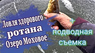 Ссылка
