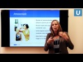 Understanding Your Child S Emotions A Developmental Approach Catherine Mogil PsyD UCLAMDChat
