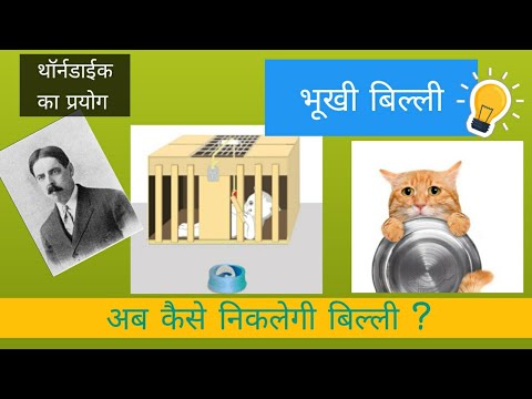 Hungry cat experiment of Thorndike | थार्नडाइक का भूखी बिल्ली पर प्रयोग । thorndike ka siddhant