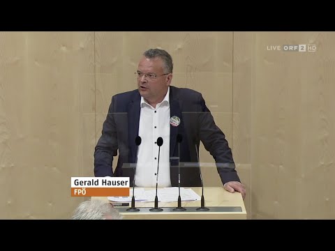 Gerald Hauser - Umsatzsteuergesetz - 30.6.2020