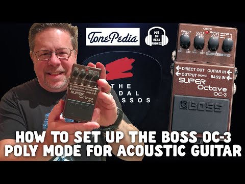 HOW TO SET UP THE BOSS OC-3 POLY MODE FOR ACOUSTIC GUITAR