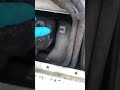 Reproduce el video