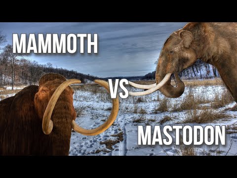 Mammoth v. Mastodon