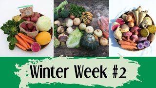 Winter Week #2 Box Reveal