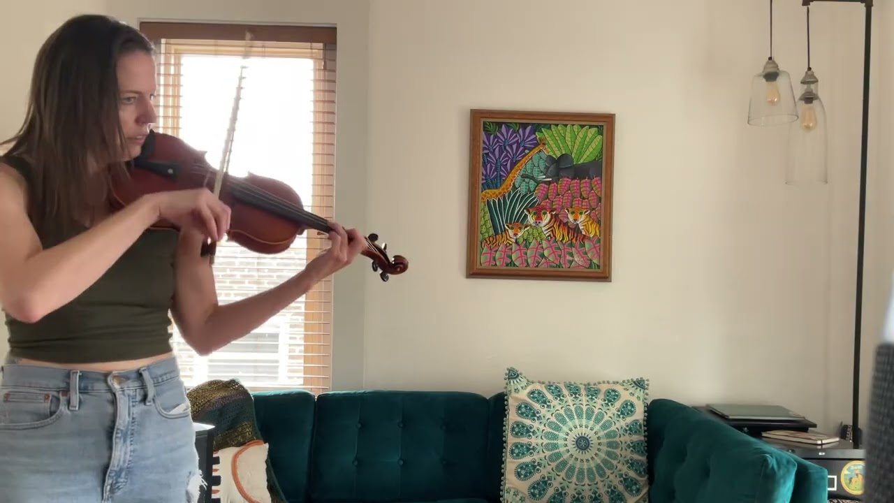 Promotional video thumbnail 5 for Metsker Violin