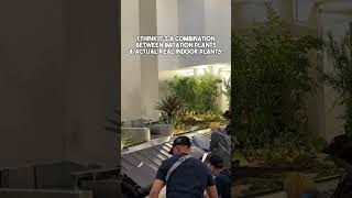 Download lagu Impressive Indonesian Airport in Jakarta covered with greens #soetta #soekarnohattaairport #jakarta mp3 Download lagu Impressive Indonesian Airport in Jakarta covered with greens #soetta #soekarnohattaairport #jakarta mp3