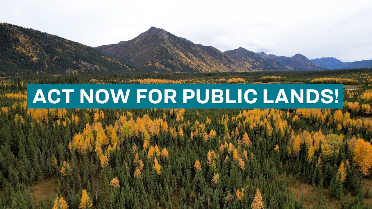 Act Now for Public Lands!