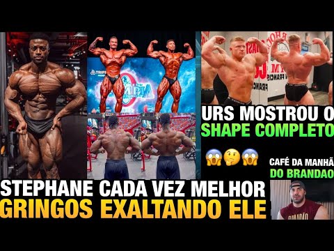 STEPHANE AMEAÇA CBUM E RAMON ? GRINGOS EXALTAM ELE - URS SHAPE ATUAL COMPLETO + BRANDÃO
