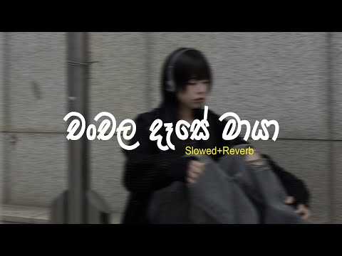 චංචල දෑසේ මායා Chanchala Dase Maya | Slowed + Reverb | Bimsara Music