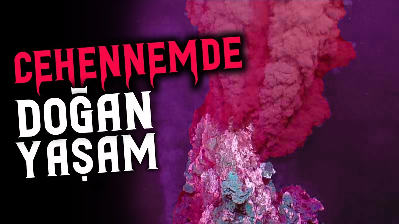 Dünya'da Bizden Farklı Yaşam Formları Olabilir mi?