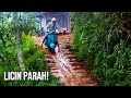 Funny Movies Compilation Of Hilarious Videos That Make You Laugh Out Loud 55