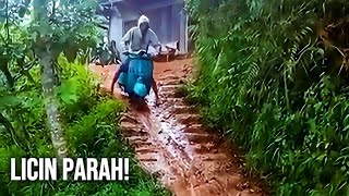 Download lagu Funny Movies Compilation of Hilarious Videos That Make You Laugh Out Loud 🤣 #55 mp3 Download lagu Funny Movies Compilation of Hilarious Videos That Make You Laugh Out Loud 🤣 #55 mp3