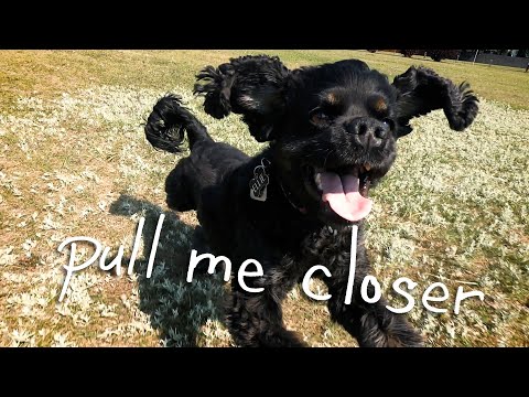 King Dylan - Pull Me Closer [OFFICIAL VIDEO]