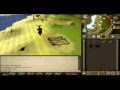 How To Hunt Graahks In Runescape