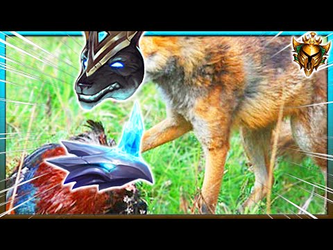 LA VOLPE E LA GALLINA FT.SPAWN (Inoob) [GOLD 3] - League of Legends ITA #3036