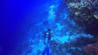 Cozumel 2023, Day 4, Dive 1, Part 3