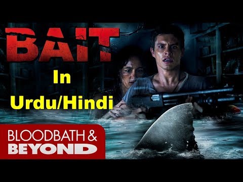 Bait 2012 Shark Movie | Bilal Creator