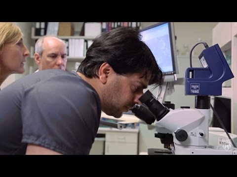 Mayo Clinic Minute: Drug Combo for Lung Cancer